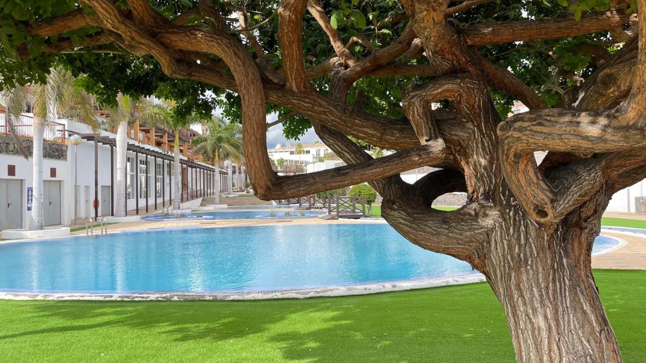شقة Casa Helen 2 Tenerife Sur سان ميغيل ذي أبونا المظهر الخارجي الصورة